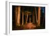 Sitka National Historic Park aka Totem Park, Sitka, Alaska-Mark A Johnson-Framed Photographic Print