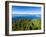 Sitka Sound & Mt. Edgecumbe on Kruzof Island, Baranof Island, Sitka, Alaska, USA-Mark A Johnson-Framed Photographic Print