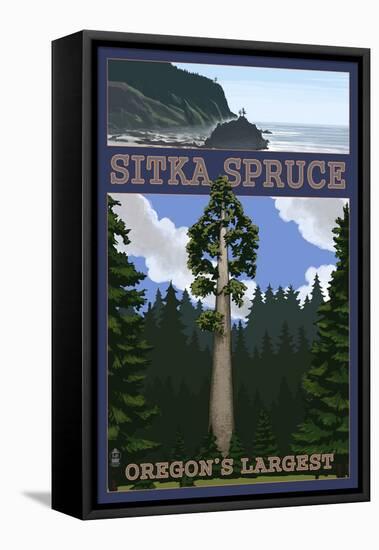 Sitka Spruce - Oregon's Largest - Oregon Coast-Lantern Press-Framed Stretched Canvas