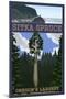 Sitka Spruce - Oregon's Largest - Oregon Coast-Lantern Press-Mounted Art Print