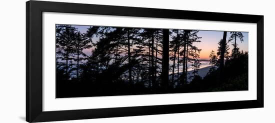 Sitka Spruce trees on Long Beach at sunset, Vancouver Island-null-Framed Photographic Print