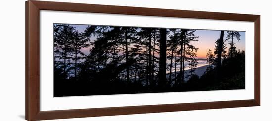 Sitka Spruce trees on Long Beach at sunset, Vancouver Island-null-Framed Photographic Print