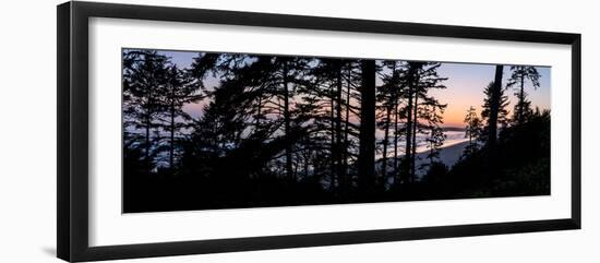 Sitka Spruce trees on Long Beach at sunset, Vancouver Island-null-Framed Photographic Print