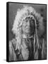 Sitting Bear, Arikara Native American Man Curtis Photograph-Lantern Press-Framed Stretched Canvas