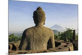 Sitting Buddha in the Temple Complex of Borobodur, Java, Indonesia, Southeast Asia, Asia-Michael Runkel-Mounted Photographic Print