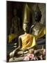 Sitting Buddhas in the Main Temple, Wat Xieng Thong, UNESCO World Heritage Site, Luang Prabang, Lao-Richard Maschmeyer-Mounted Photographic Print