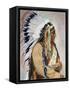 Sitting Bull (1834-1890)-null-Framed Stretched Canvas