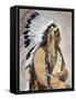 Sitting Bull (1834-1890)-null-Framed Stretched Canvas