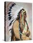 Sitting Bull (1834-1890)-null-Stretched Canvas