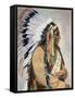 Sitting Bull (1834-1890)-null-Framed Stretched Canvas