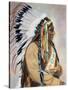 Sitting Bull (1834-1890)-null-Stretched Canvas