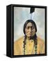 Sitting Bull (1834-1890)-D^ F^ Barry-Framed Stretched Canvas