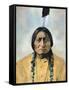 Sitting Bull (1834-1890)-D^ F^ Barry-Framed Stretched Canvas