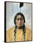 Sitting Bull (1834-1890)-D^ F^ Barry-Framed Stretched Canvas