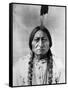 Sitting Bull (1834-1890)-null-Framed Stretched Canvas