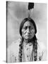 Sitting Bull (1834-1890)-null-Stretched Canvas