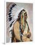 Sitting Bull (1834-1890)-null-Framed Photographic Print