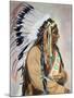 Sitting Bull (1834-1890)-null-Mounted Photographic Print