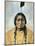 Sitting Bull (1834-1890)-D^ F^ Barry-Mounted Photographic Print