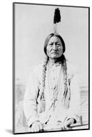 Sitting Bull, a Hunkpapa Lakota Tribal Chief-Stocktrek Images-Mounted Photographic Print