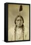 Sitting Bull, c.1885-D. F. Barry-Framed Stretched Canvas