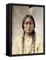 Sitting Bull, Native North American Chief --David Frances Barry-Framed Stretched Canvas