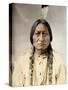 Sitting Bull, Native North American Chief --David Frances Barry-Stretched Canvas