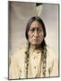 Sitting Bull, Native North American Chief --David Frances Barry-Mounted Giclee Print