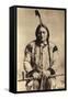 Sitting Bull (Tatanka Iyotake) 1831-90 Teton Sioux Indian Chief-null-Framed Stretched Canvas