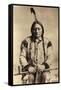Sitting Bull (Tatanka Iyotake) 1831-90 Teton Sioux Indian Chief-null-Framed Stretched Canvas