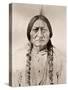 Sitting Bull-David Frances Barry-Stretched Canvas