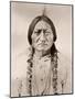 Sitting Bull-David Frances Barry-Mounted Photographic Print