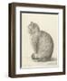 Sitting Cat, Facing Left, 1825-Jean Bernard-Framed Art Print