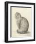 Sitting Cat, Facing Left, 1825-Jean Bernard-Framed Art Print