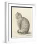 Sitting Cat, Facing Left, 1825-Jean Bernard-Framed Art Print