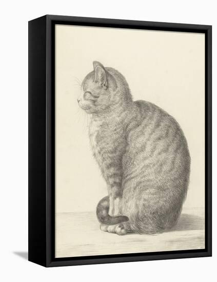 Sitting Cat, Facing Left, 1825-Jean Bernard-Framed Stretched Canvas