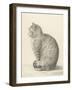 Sitting Cat, Facing Left, 1825-Jean Bernard-Framed Art Print