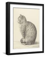 Sitting Cat, Facing Left, 1825-Jean Bernard-Framed Art Print