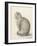 Sitting Cat, Facing Left, 1825-Jean Bernard-Framed Art Print