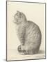 Sitting Cat, Facing Left, 1825-Jean Bernard-Mounted Art Print