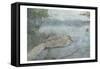 Sitting Duck-Sheldon Lewis-Framed Stretched Canvas