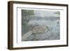 Sitting Duck-Sheldon Lewis-Framed Art Print