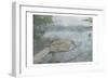 Sitting Duck-Sheldon Lewis-Framed Art Print