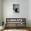 Sitting Girl-Michalina Wozniak-Photographic Print displayed on a wall