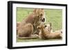 Sitting Lioness Snarling at Reclining Cub, Ngorongoro, Tanzania-James Heupel-Framed Photographic Print
