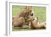 Sitting Lioness Snarling at Reclining Cub, Ngorongoro, Tanzania-James Heupel-Framed Photographic Print