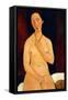 Sitting Nude with Necklace, 1917-Amedeo Modigliani-Framed Stretched Canvas
