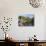 Sitting on the Riverside in Spring, Knaresborough, North Yorkshire, England, United Kingdom, Europe-Mark Sunderland-Photographic Print displayed on a wall