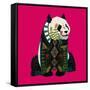 Sitting Panda (Variant 2)-Sharon Turner-Framed Stretched Canvas