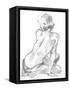 Sitting Pose II-null-Framed Stretched Canvas